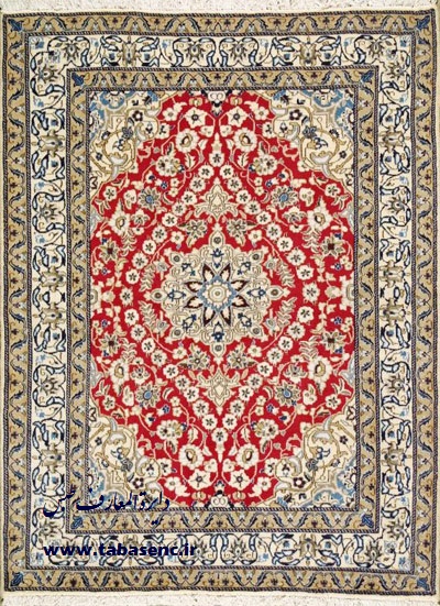 http://www.tabasenc.ir/wp-content/uploads/2012/11/6e8ba8216a1e.jpg